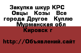 Закупка шкур КРС , Овцы , Козы - Все города Другое » Куплю   . Мурманская обл.,Кировск г.